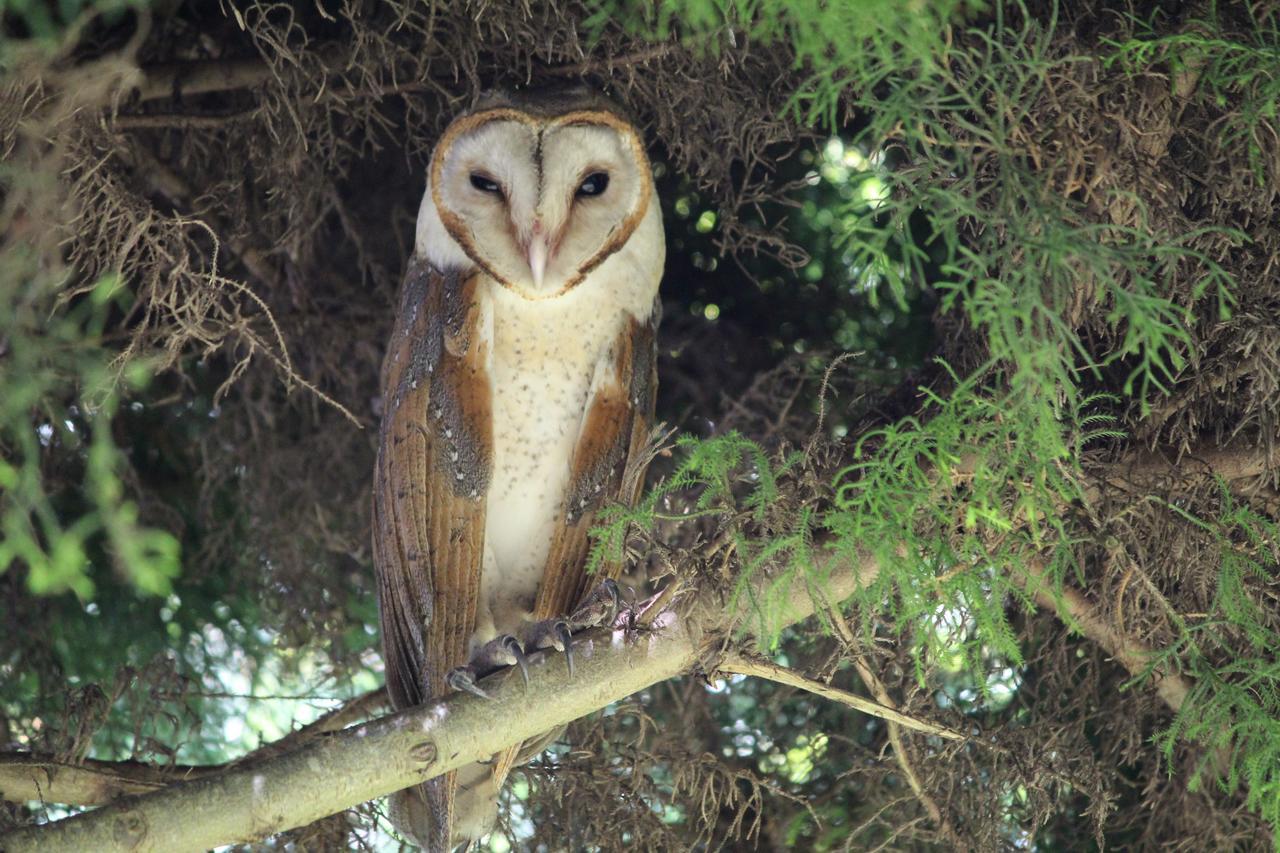 לינה וארוחת בוקר Eagle Mountain מונאר מראה חיצוני תמונה